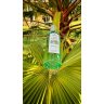 Zöld tea Eau de toilette 100ml