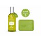 Verbéna lakásparfüm 100ml